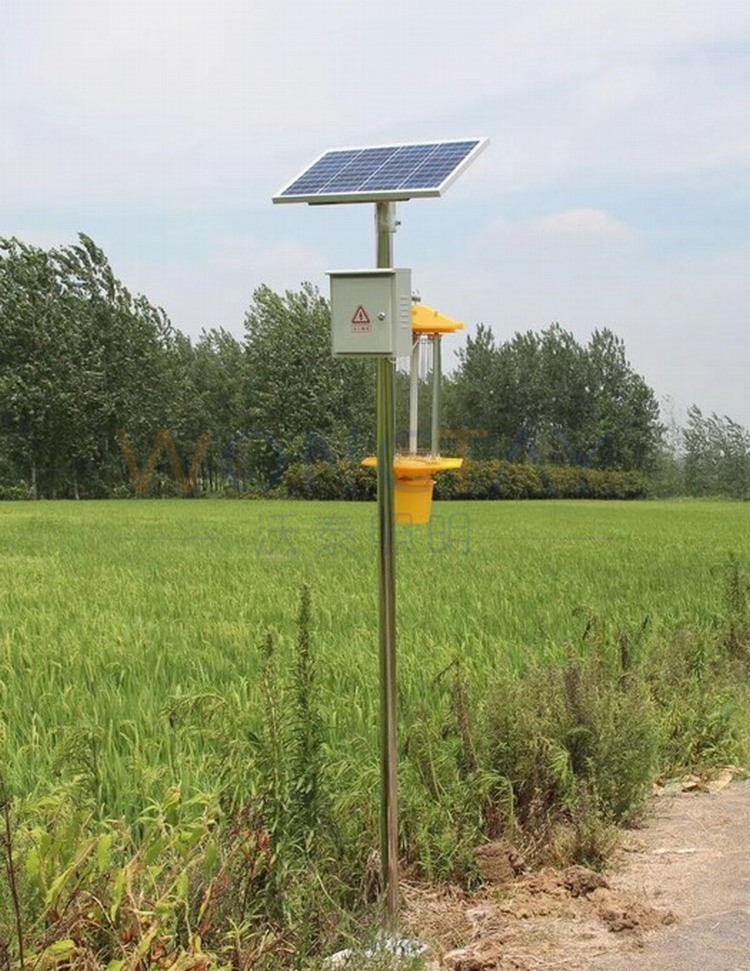太陽能殺蟲燈